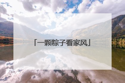 一颗粽子看家风