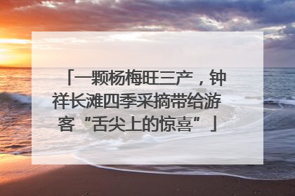 一颗杨梅旺三产，钟祥长滩四季采摘带给游客“舌尖上的惊喜”
