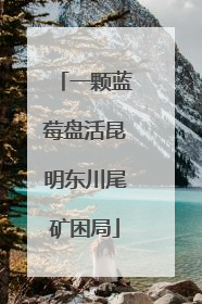 一颗蓝莓盘活昆明东川尾矿困局