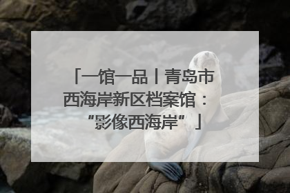 一馆一品丨青岛市西海岸新区档案馆：“影像西海岸”