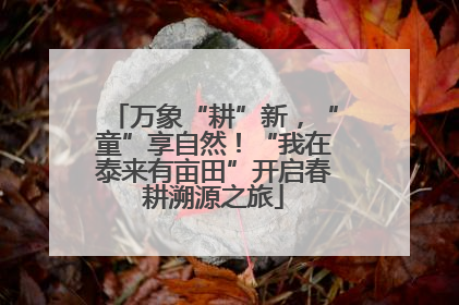 万象“耕”新，“童”享自然！“我在泰来有亩田”开启春耕溯源之旅