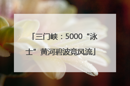 三门峡：5000“泳士”黄河碧波竞风流