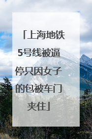 上海地铁5号线被逼停只因女子的包被车门夹住