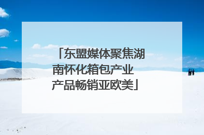 东盟媒体聚焦湖南怀化箱包产业 产品畅销亚欧美