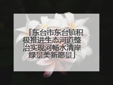 东台市东台镇积极推进生态河道整治实现河畅水清岸绿景美新愿景
