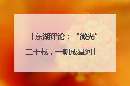 东湖评论：“微光”三十载，一朝成星河