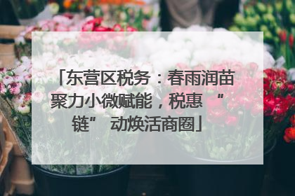 东营区税务：春雨润苗聚力小微赋能，税惠 “链” 动焕活商圈