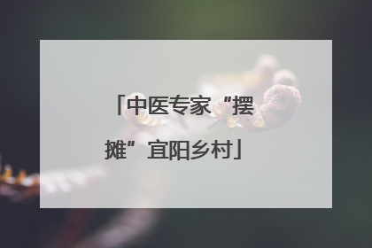 中医专家“摆摊”宜阳乡村