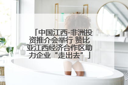 中国江西-非洲投资推介会举行 赞比亚江西经济合作区助力企业“走出去”