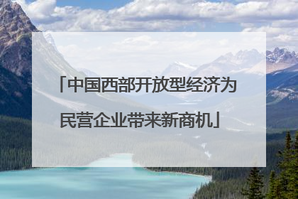 中国西部开放型经济为民营企业带来新商机