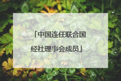 中国连任联合国经社理事会成员