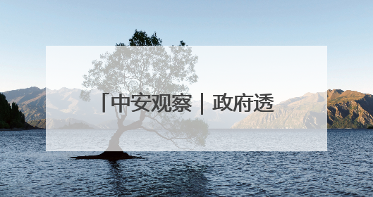 中安观察｜政府透明度，安徽何以稳居全国第一方阵？