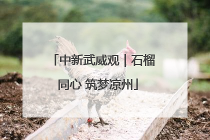 中新武威观｜石榴同心 筑梦凉州
