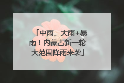 中雨、大雨+暴雨！内蒙古新一轮大范围降雨来袭
