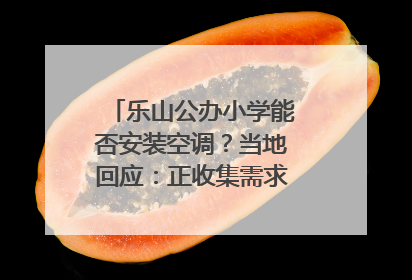 乐山公办小学能否安装空调？当地回应：正收集需求，部分中小学已启动安装｜云求助