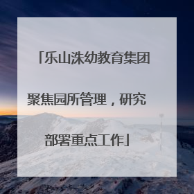 乐山洙幼教育集团聚焦园所管理，研究部署重点工作