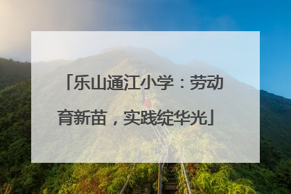 乐山通江小学：劳动育新苗，实践绽华光