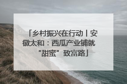 乡村振兴在行动丨安徽太和：西瓜产业铺就“甜蜜”致富路