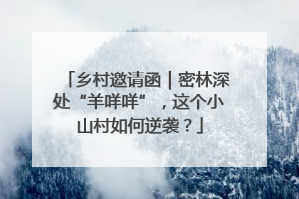 乡村邀请函｜密林深处“羊咩咩”，这个小山村如何逆袭？