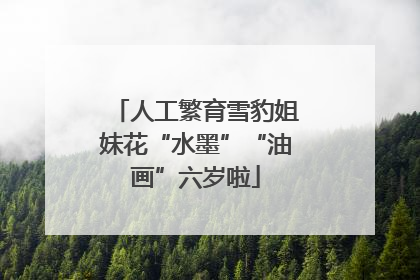人工繁育雪豹姐妹花“水墨”“油画”六岁啦