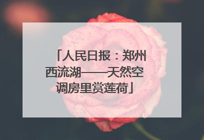 人民日报：郑州西流湖——天然空调房里赏莲荷