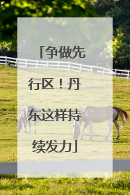 争做先行区！丹东这样持续发力