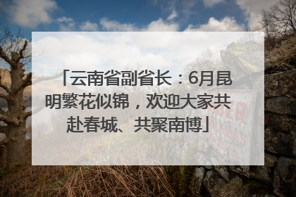 云南省副省长：6月昆明繁花似锦，欢迎大家共赴春城、共聚南博