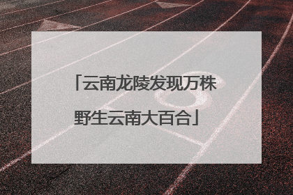 云南龙陵发现万株野生云南大百合
