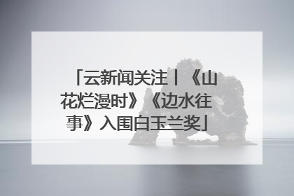 云新闻关注丨《山花烂漫时》《边水往事》入围白玉兰奖