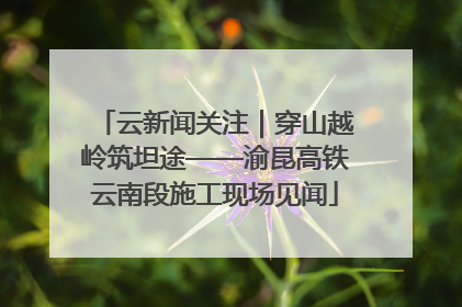 云新闻关注｜穿山越岭筑坦途——渝昆高铁云南段施工现场见闻