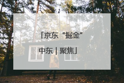 京东“掘金”中东｜聚焦