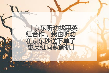 京东听劝找惠英红合作，我也听劝在京东秒送下单了惠英红同款新机