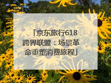 京东旅行618跨界联盟：场景革命重塑消费旅程