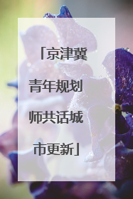 京津冀青年规划师共话城市更新