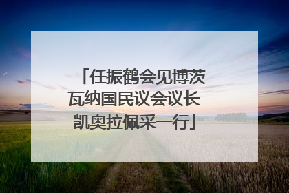 任振鹤会见博茨瓦纳国民议会议长凯奥拉佩采一行