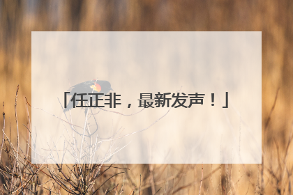 任正非，最新发声！