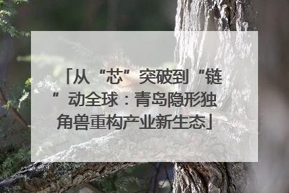 从“芯”突破到“链”动全球：青岛隐形独角兽重构产业新生态