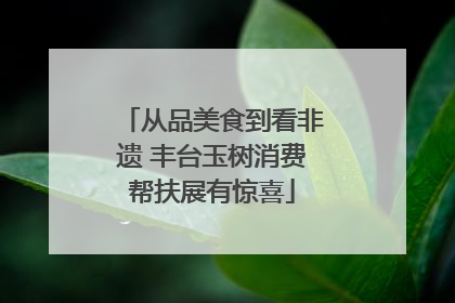 从品美食到看非遗 丰台玉树消费帮扶展有惊喜