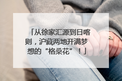从徐家汇源到日喀则，沪藏两地开满梦想的“格桑花”！