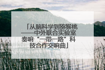 从脑科学到猕猴桃——中外联合实验室奏响“一带一路”科技合作交响曲