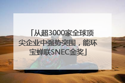 从超3000家全球顶尖企业中强势突围，能环宝蝉联SNEC金奖