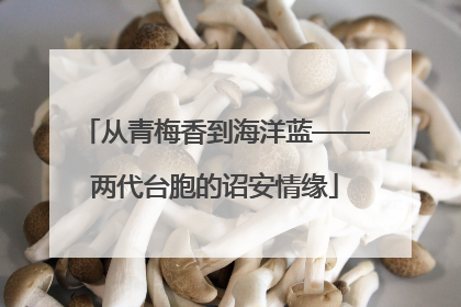 从青梅香到海洋蓝——两代台胞的诏安情缘
