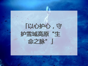 以心护心，守护雪域高原“生命之脉”