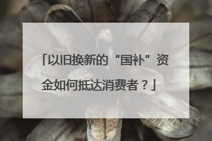 以旧换新的“国补”资金如何抵达消费者？