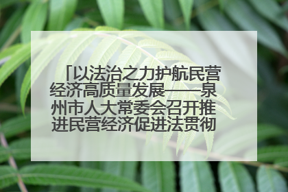 以法治之力护航民营经济高质量发展——泉州市人大常委会召开推进民营经济促进法贯彻实施座谈会