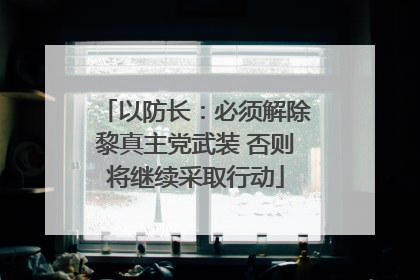 以防长：必须解除黎真主党武装 否则将继续采取行动