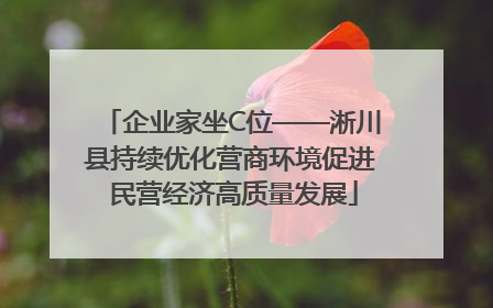 企业家坐C位——淅川县持续优化营商环境促进 民营经济高质量发展