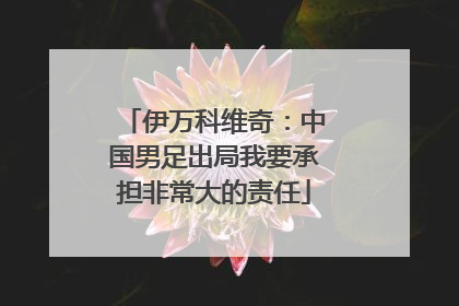 伊万科维奇：中国男足出局我要承担非常大的责任