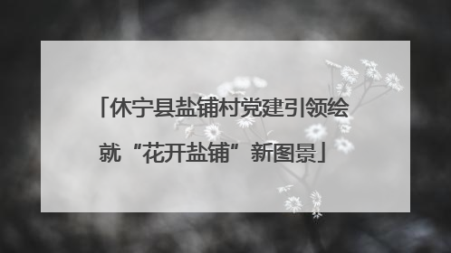 休宁县盐铺村党建引领绘就“花开盐铺”新图景