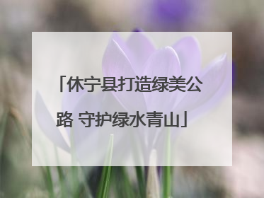 休宁县打造绿美公路 守护绿水青山